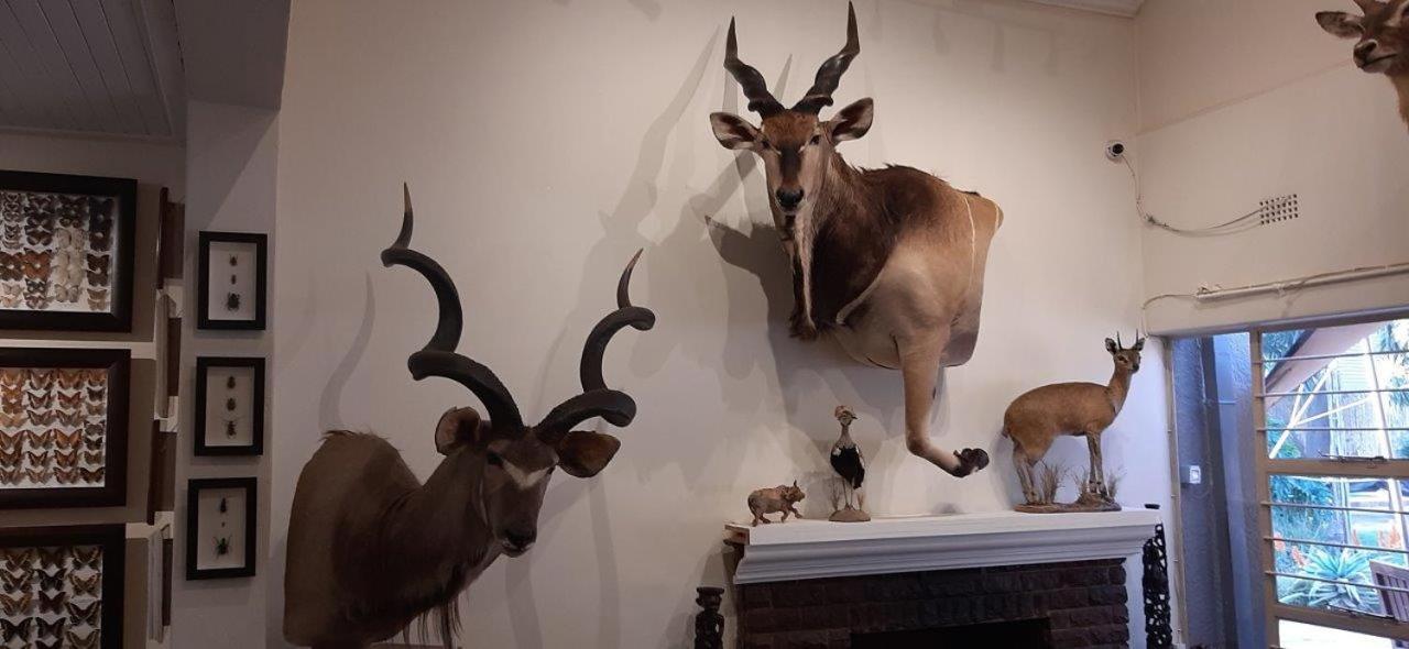 Afton Safari Lodge Kempton Park Exteriér fotografie
